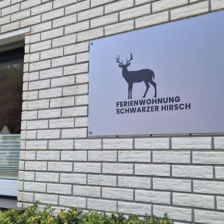 Ferienwohnung Schwarzer Hirsch Wieda Exteriör bild