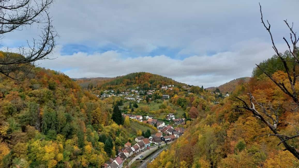 Ferienwohnung Schwarzer Hirsch Wieda Exteriör bild